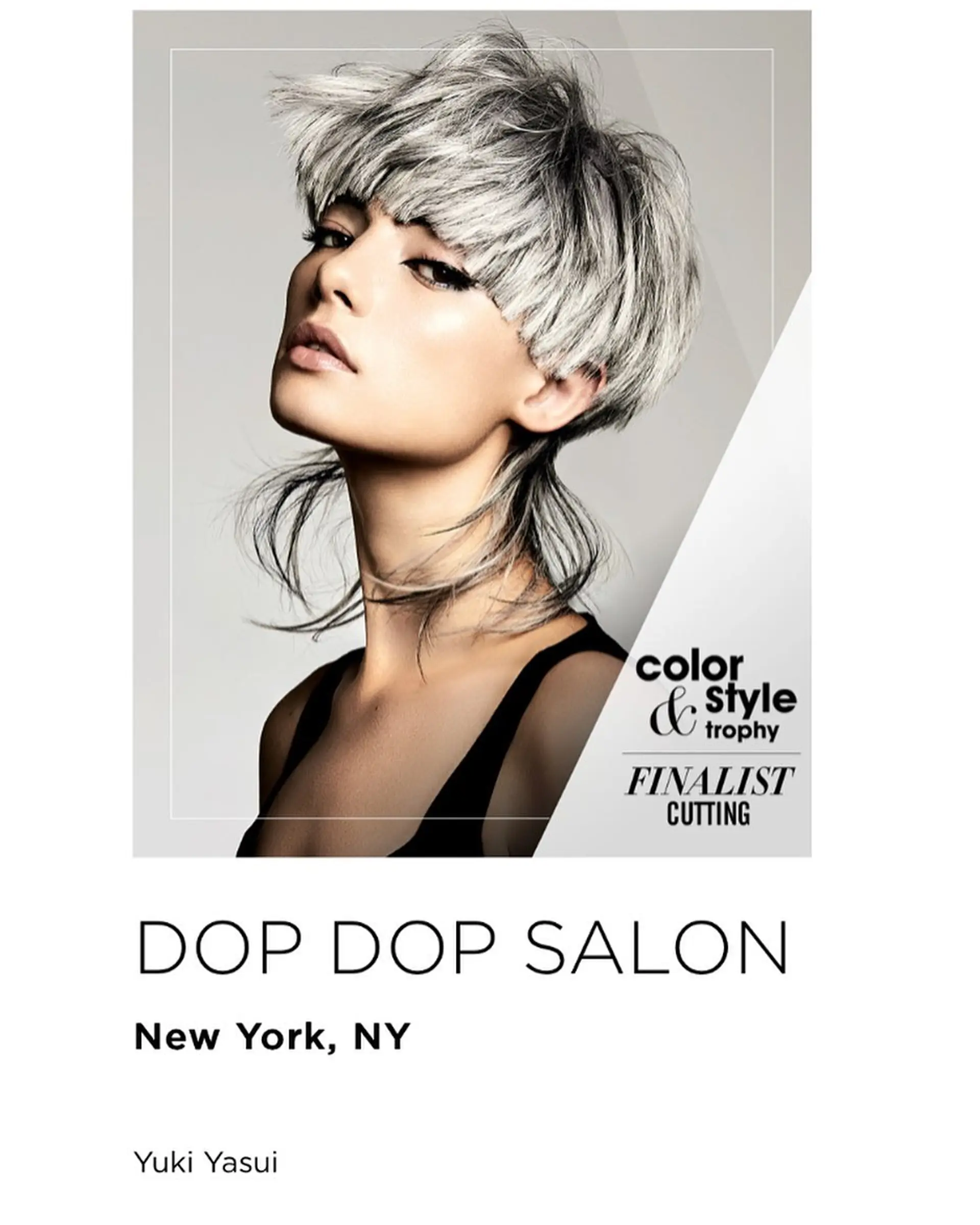 An edgy, editorial silver mullet combining a textured blunt-cut bowl top with wispy, lengthened strands at the nape. 1