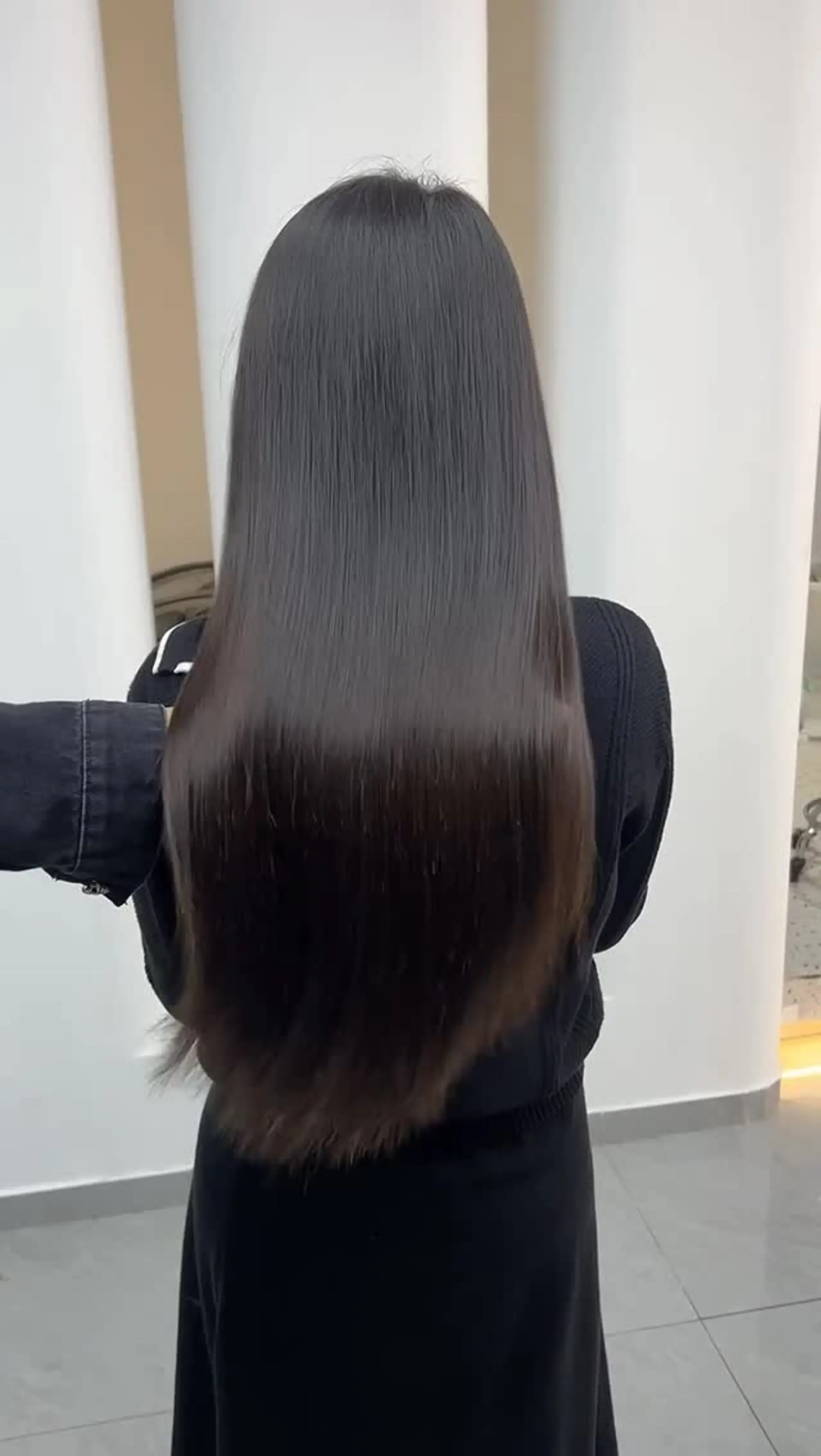Very long, sleek, and high-shine straight dark hair falling down the center of the back. 1